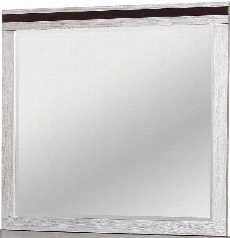 Euclid Collection Cm7206m 40" X 38" Mirror With Rectangle Shape Solid Wood And Wood Veneers Frame Construction In Silver And Espresso