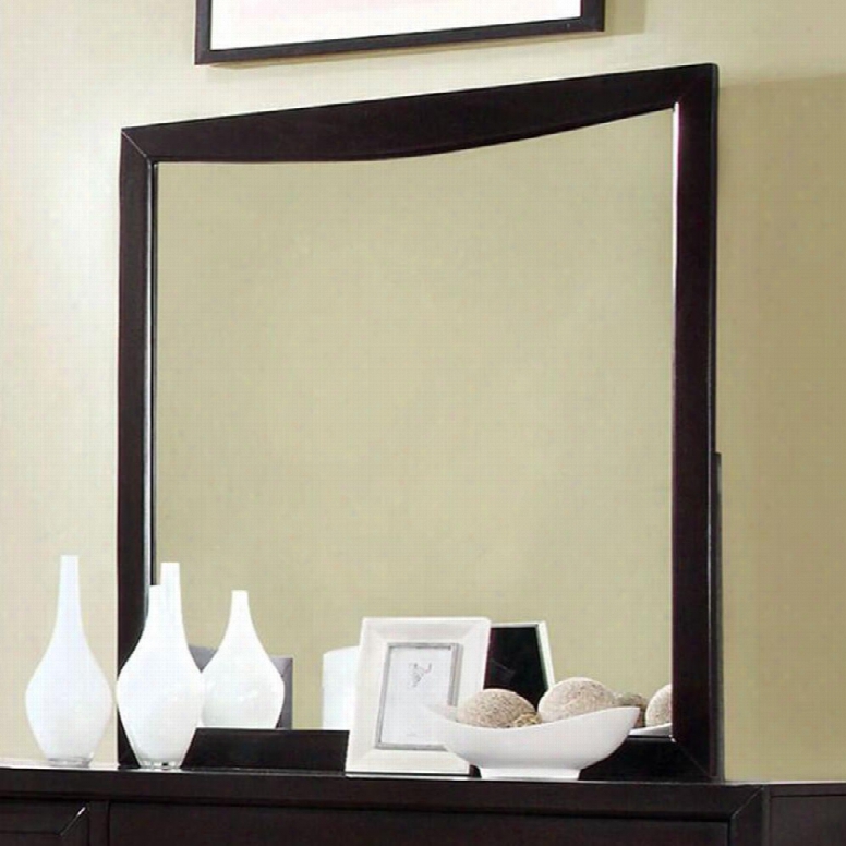 Snyder Cm7792ex-m Mirror With Transitional Style Solid Wood Wood Veneer Others In
