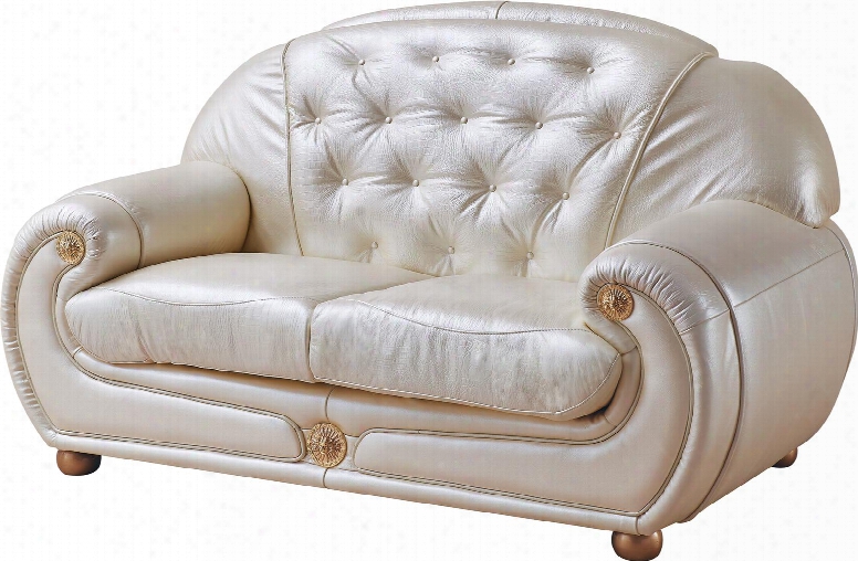 Giza Collection I17457 67" Loveseat With Leather In