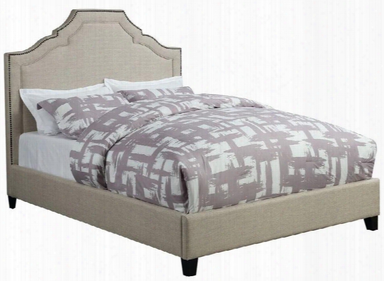 Cantillo Collection 301091ke Eastern King Size Panel Bed With Bronzee Nailhead Trim Black Solid Tapered Wood Legs And Fabric Upholstery In Oatmeal