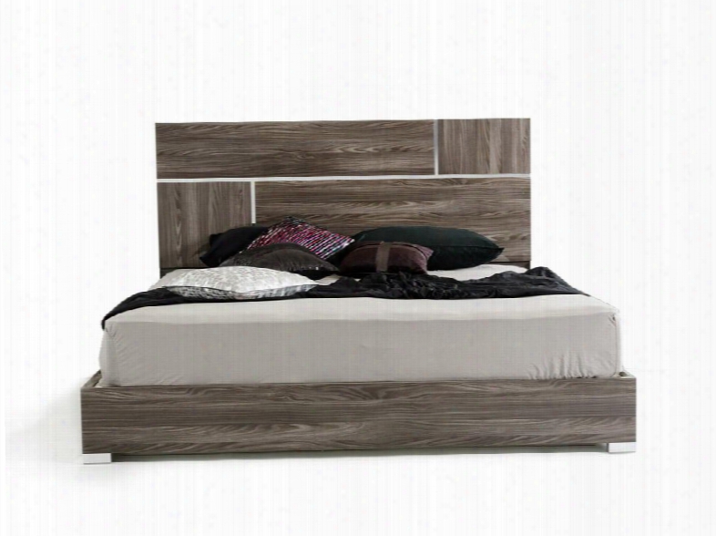 Modrest Picasso Collection Vgacpicasso-bed-gry-ek King Size Italian Modern Bed With Lacquer Finish Silver Accents And Metal Feet In Elm