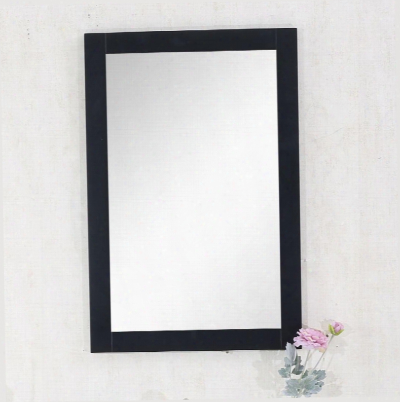 Wlf7016-e-m 20" Mirror Made With Mdf And Glass In