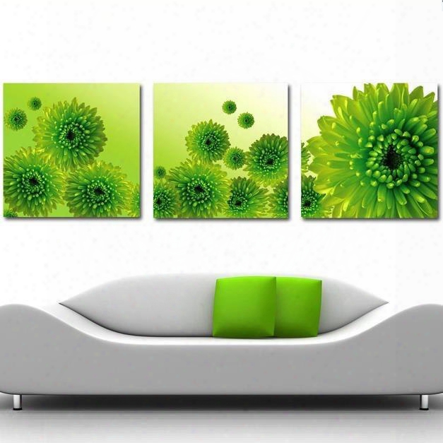 16␔16in␔3 Panels Green Chrysanthemum Flowers Hanging Canvas Waterproof Eco-friendly Framed Prints