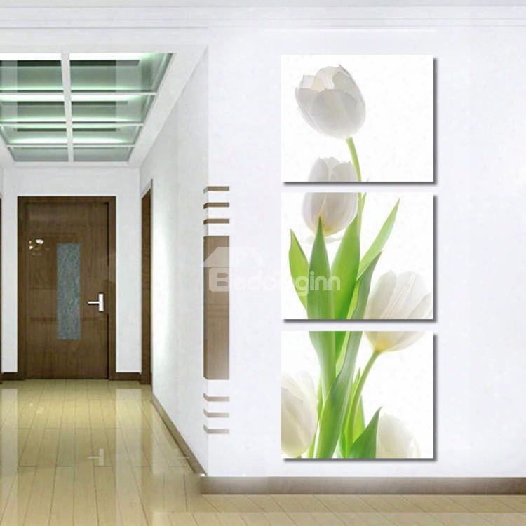 16␔16in␔3 Panels White Tulip Hanging Canvas Waterproof And Eco-friendly Framed Prints