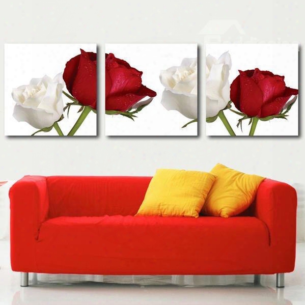 Beautiful White And Red Roses Print 3-piece Cross Film Wall Art Prints