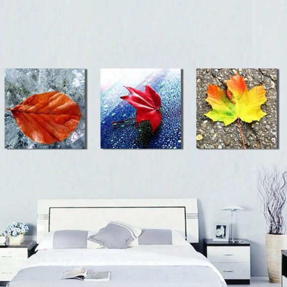 New Arrival Beautiful Colorful Fallen Leaves Print 3-piece Cross Film Wall Art Prints