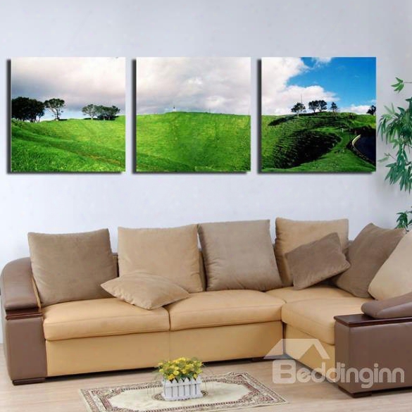 New Arrival Beautiful Green Plain And White Clouds Print 3-piece Cross Film Wall Art Prints