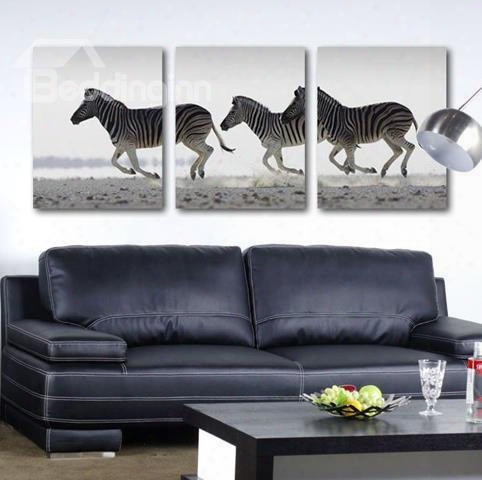 New Arrival Beautiful Running Zebras Print 3-piece Cross Film Wall Art Prints