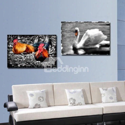 New Arrival Colorful Cock And White Duck Print 2-piece Cross Film Wall Art Prints