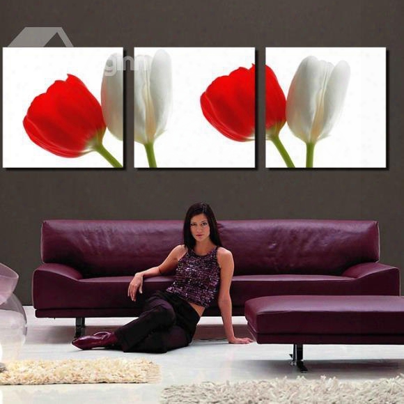 New Arrival Elegant Red And White Tulips Print 3-piece Cross Film Wall Art Prints