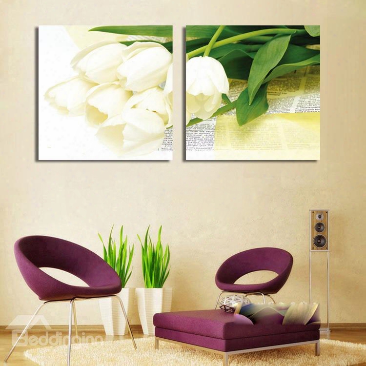 New Arrival White Tulip With Its Leaves Cross Film Wall Art Prints
