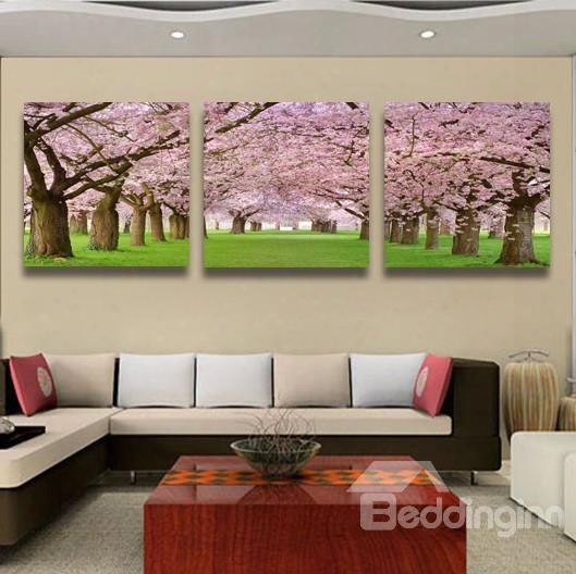 Romantic Pink Cherry Blossom Pattern Framed Film Wall Art Prints