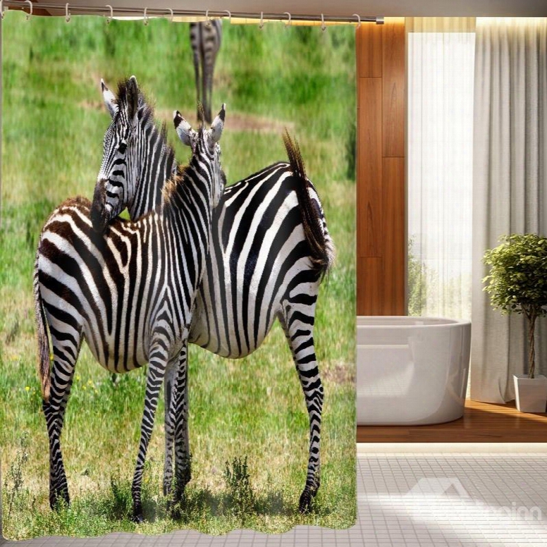 Durable Fa Bulous Zebra Pattern 3d Shower Curtain