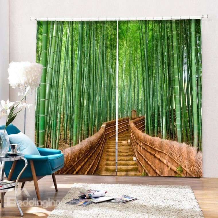 Green Bamboo On Both Sides Of The Path Printed 2 Panels Custom 3d Curtain