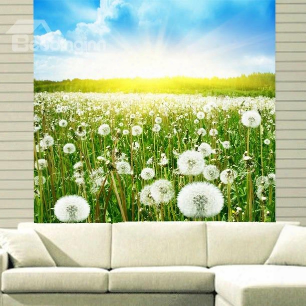 S Unshine Dandelion Field Printing 3d Roller Shades