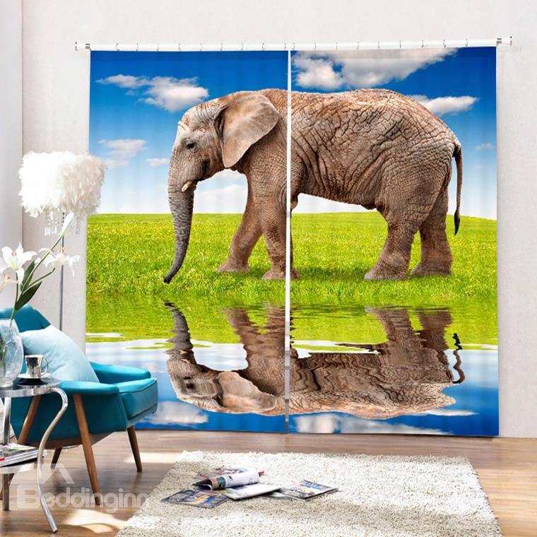 3d Fat Elephant In The River Side Printed Living Room And Bedroom Window Curtain