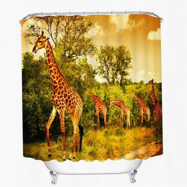 A Group Of Giraffe On The Grassland Print 3d Bathroom Shower Curtain