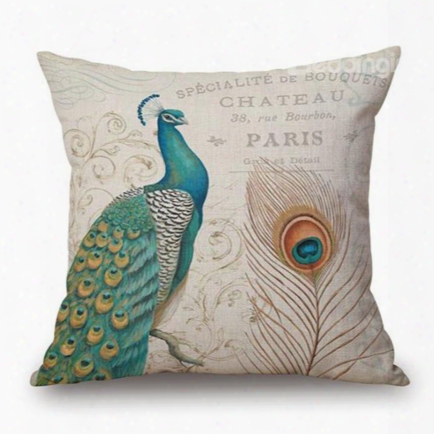 Beautiful Peacock And Feather Print Square Throw Pillow Case