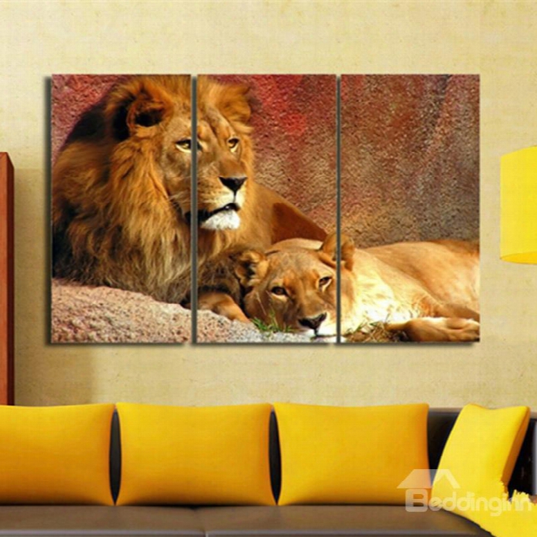 Fancy Modern European Style Realistic Lions Pattern 3 Pieces Framed Wall Art Prints