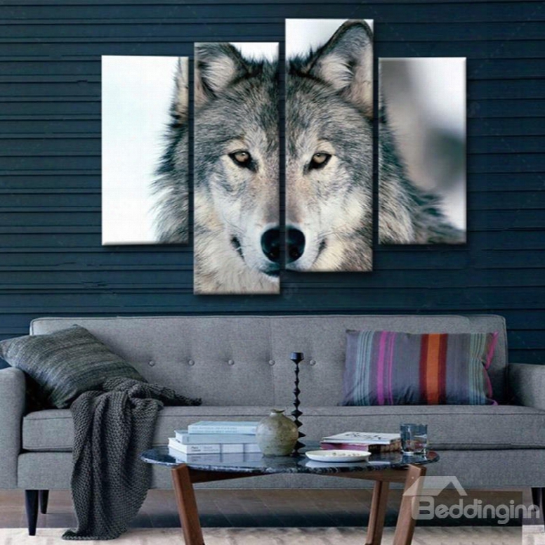 Lifelike Simple Style Wolf Pattern 4 Pieces Framed Wall Art Prints