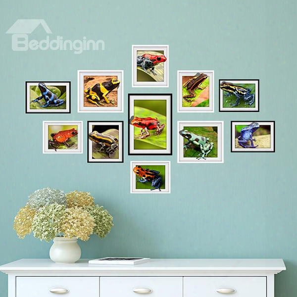 Amazing Countryside Style Colorful Frog Photo Frame Wall Stickers
