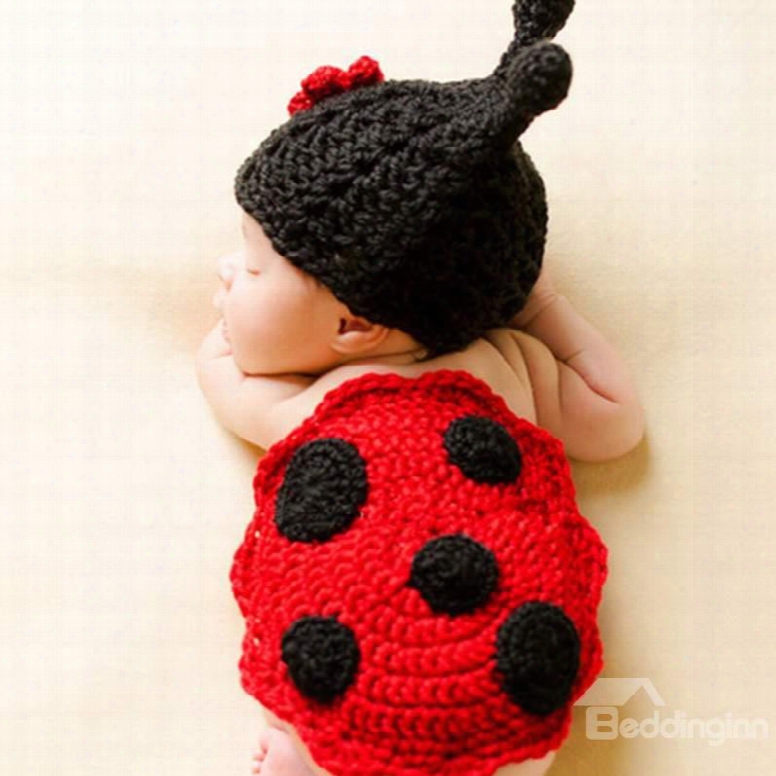 Cartoon Coccinella Septempunctata Design Knit Baby Cloth Photo Prop