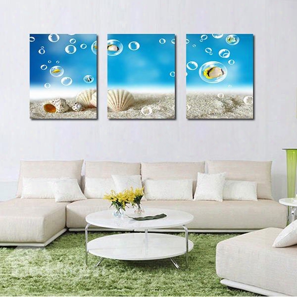 Fantastic Seashells In Beach 3-panel Canvas Wall Art Prints