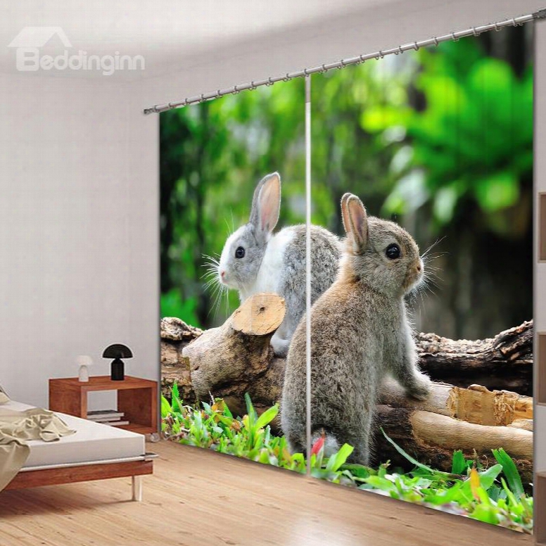 3d Cute Rabbits Standing On The Wood Printed Animal Scenery 2 Panels Polyester Curtain