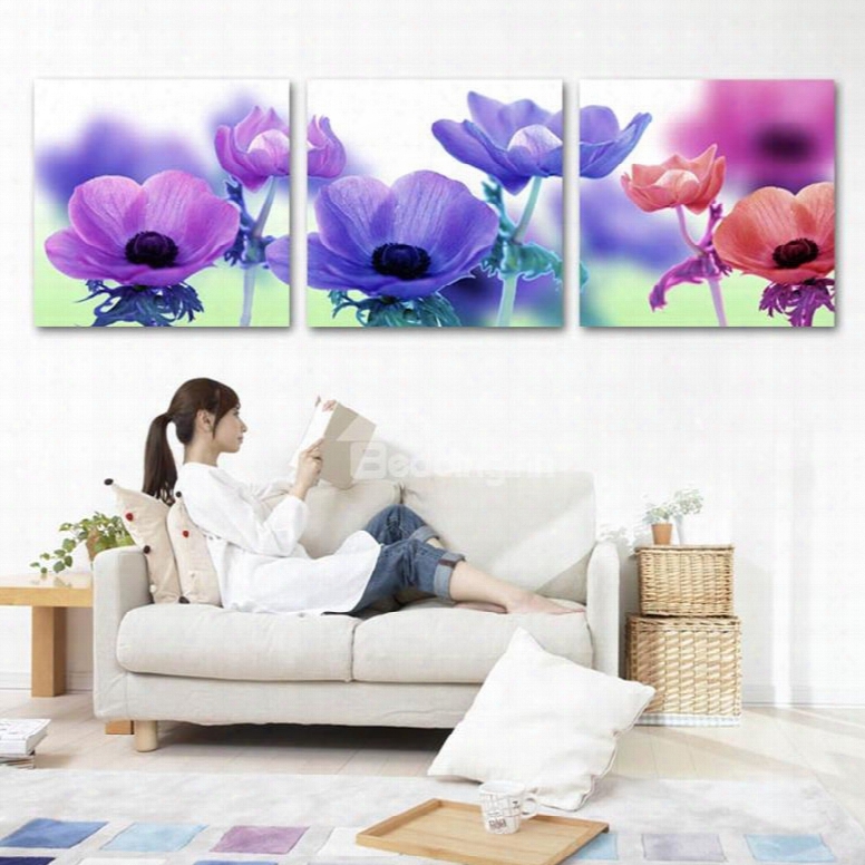 Colorful Flowers Pattern 3 Panels Framed Wall Art Prints