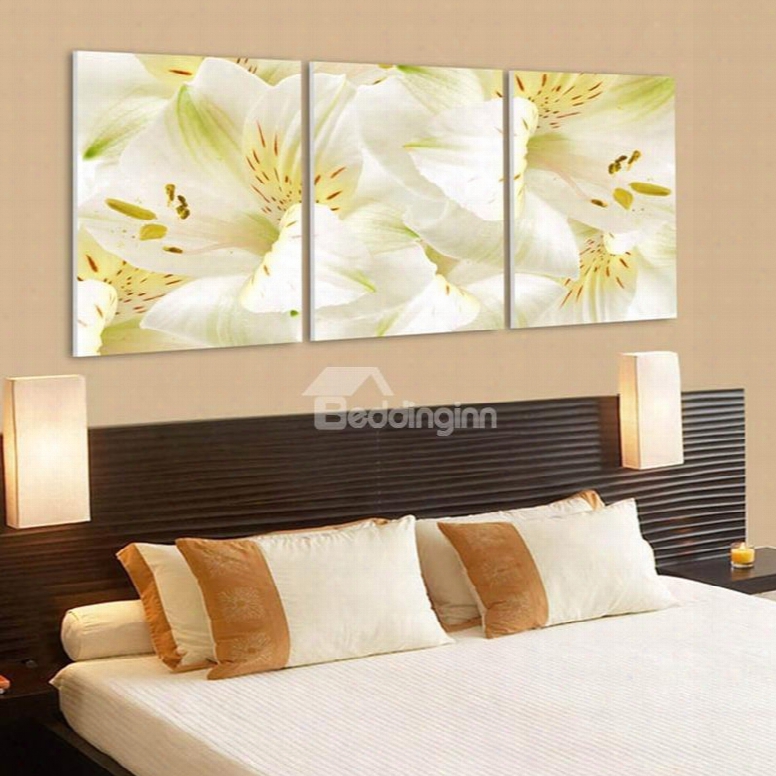 Durable Fresh Lily Pattern 3 Panels Framed Wallart Prints