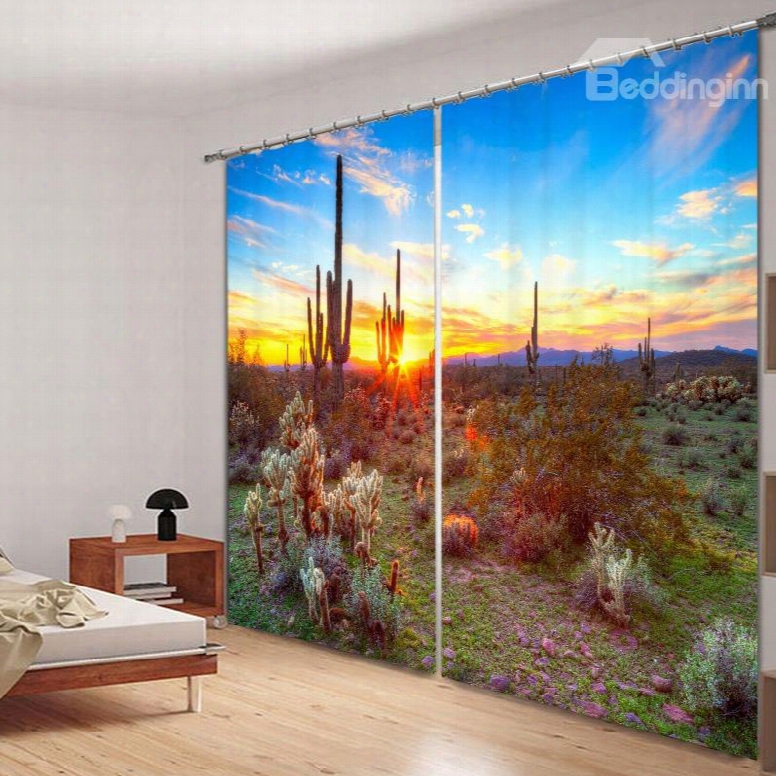 Green Cactus And Beautiful Sunset Scenery Desert Printing Custom 3d Curtain For Living Room