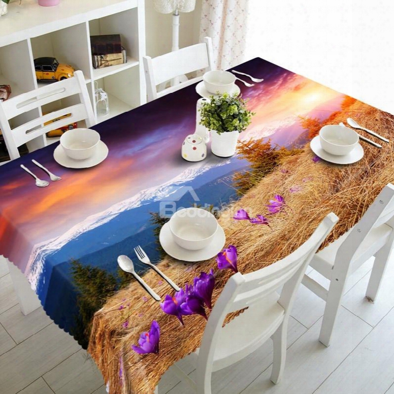 Modern Design Snow Mountain Scenery Dining Room Decoration 3d Tablecloth