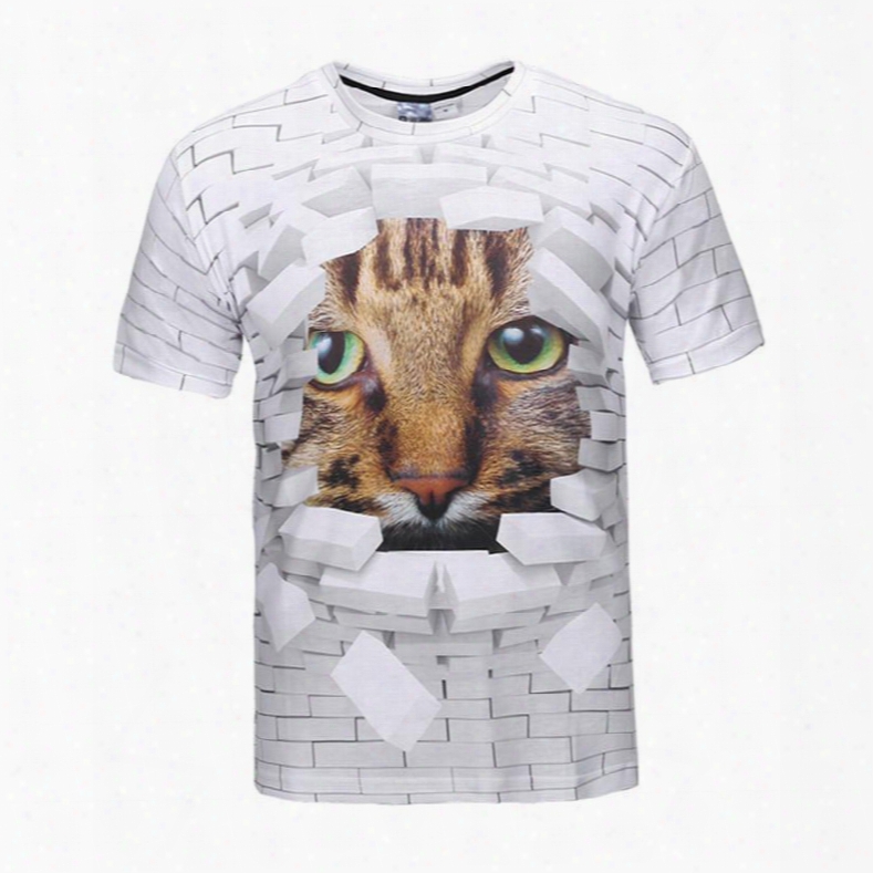 Msterious Round Neck Wall Window Cat Face Pattern 3d Pattern T-shirt