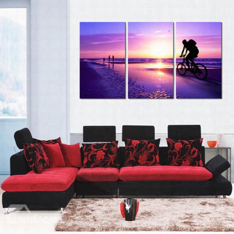 Purple Cycling Man In Sunset Scenery 3 Panels Framed Wall Art Prints