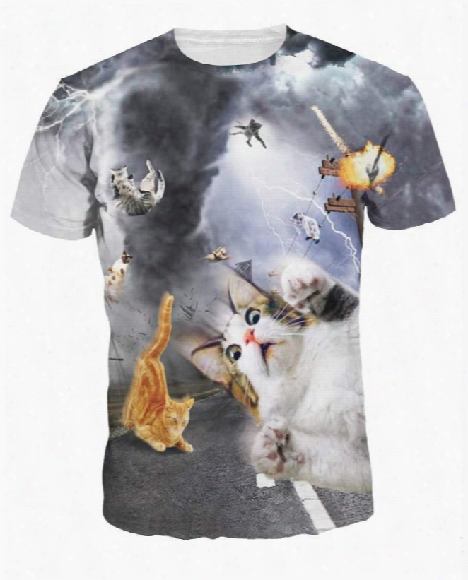 Round Neck Tornado And Cats Pattern 3d Painted T-shirt