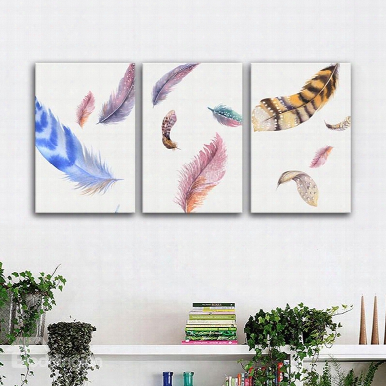 Wonderful Feather Pattern Design Canvas Framed Wall Art Prints