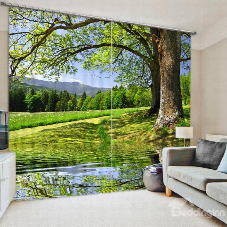 3d Green Fields And Peaceful River With Tall Trees Printed Summery Scenery Decorative 3d Curtain