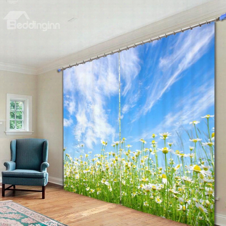 Daisy Field In Blue Sky 3d Rinted Polyester Curtain