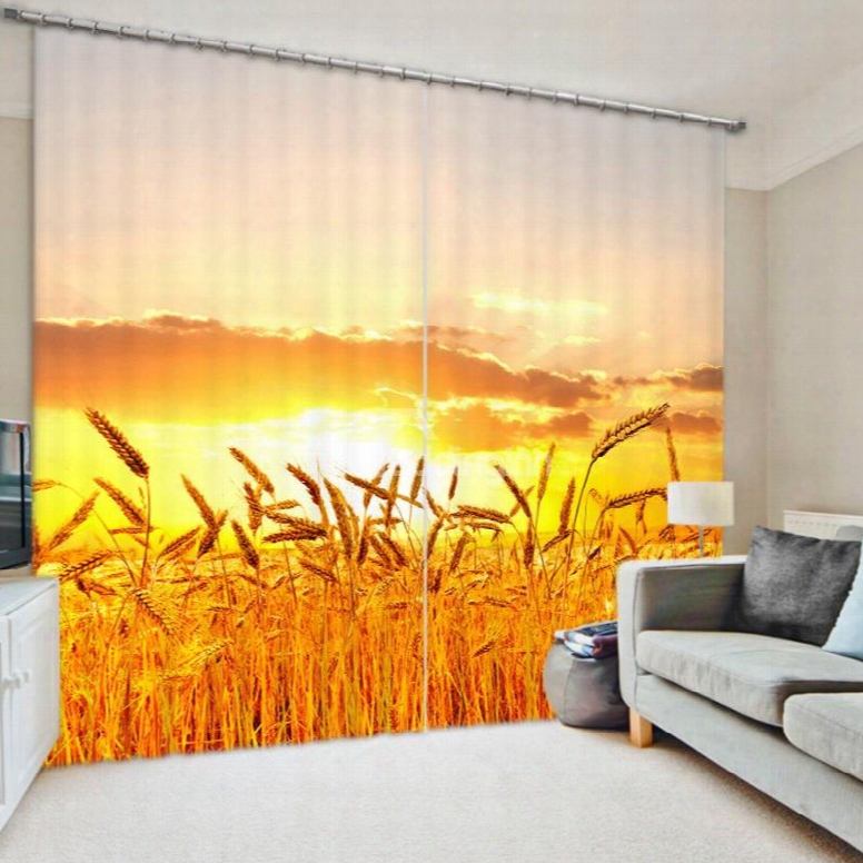 Golden Wheat Field Scenery 3d Printed Polyestee Curtain