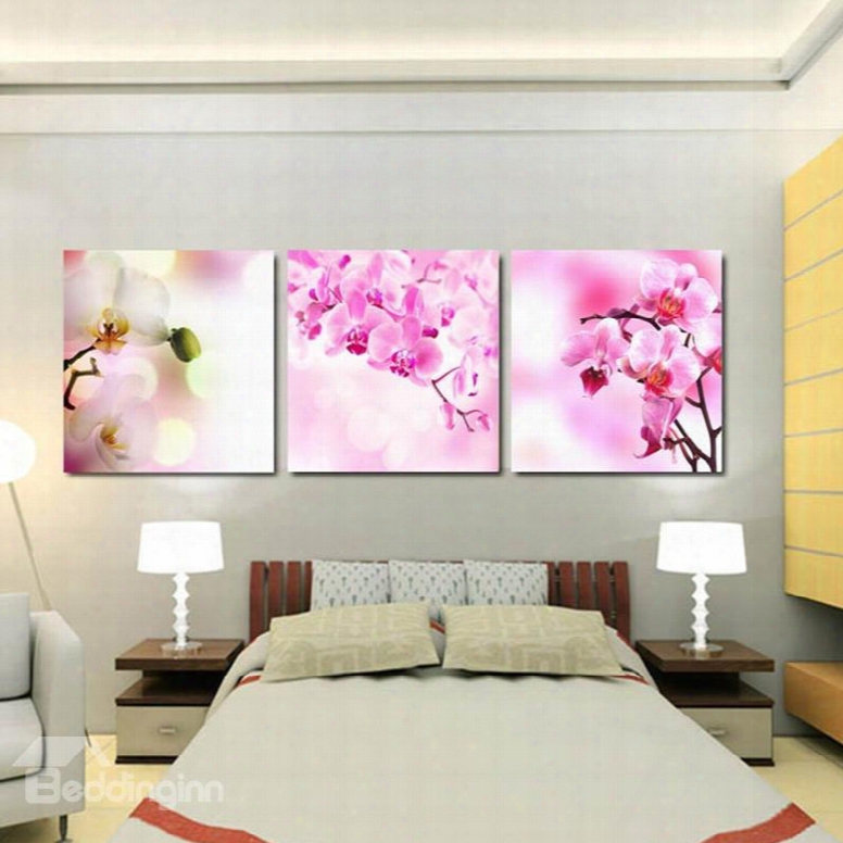 Pink Butterfly Orchid Flower Pattern 3 Panels Framed Wall Art Prints