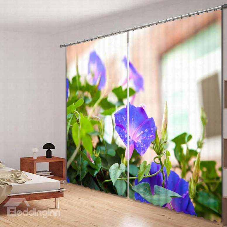 Purple Morning Glory 3d Printed Polyester Curtain