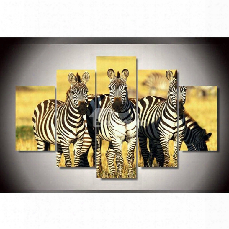 Standing Zebra Hanging 5-piece Canvas Non-framed Wall Prints