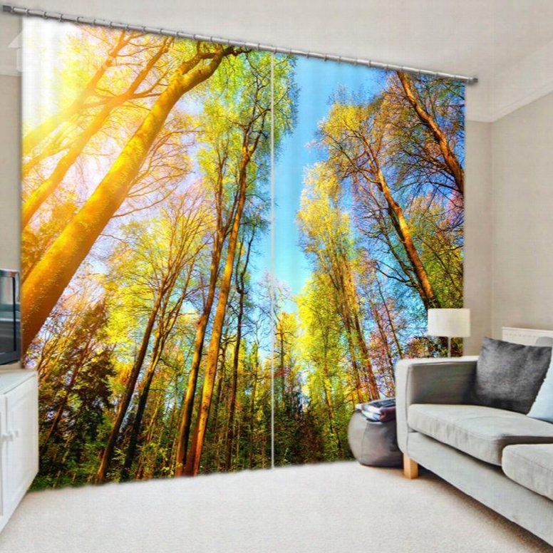 Tall Trees And Sunset 3d Printed Polyester Curtain