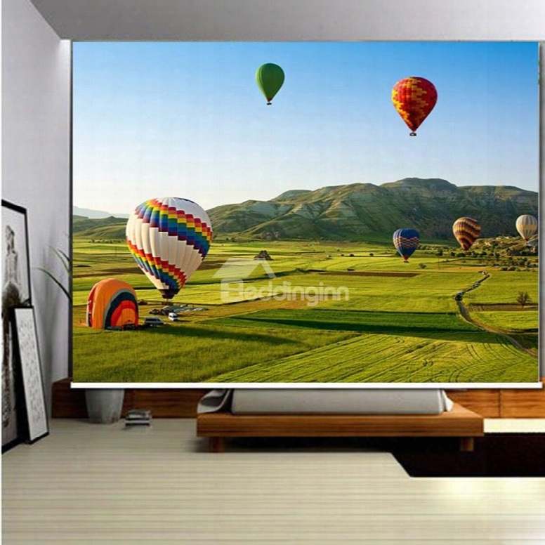 3d Blue Sky And Broad Prairie With Parachutes Printed Decoration Room Curtain Roller Shades