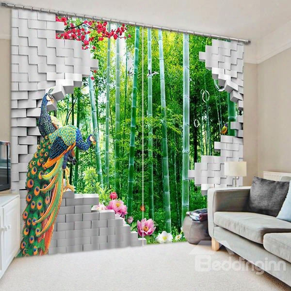 3d Peacocks With Bamboo Forest Printed Modern Style Decorative Custom Curtain