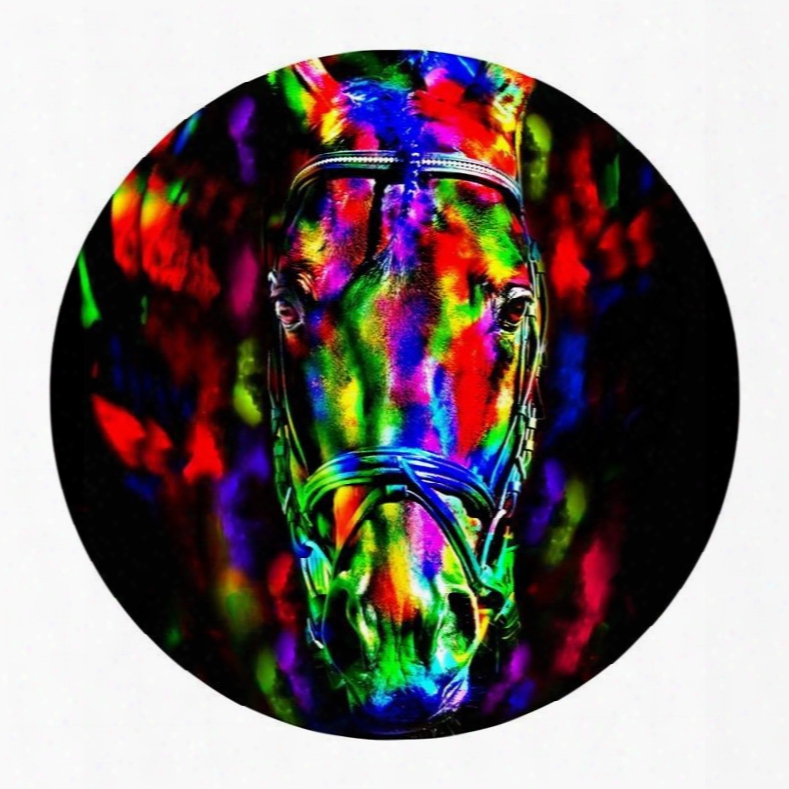 Abstract Horse Pattern Pvc Colorful Round Water Absorption And Nonslip Doormat