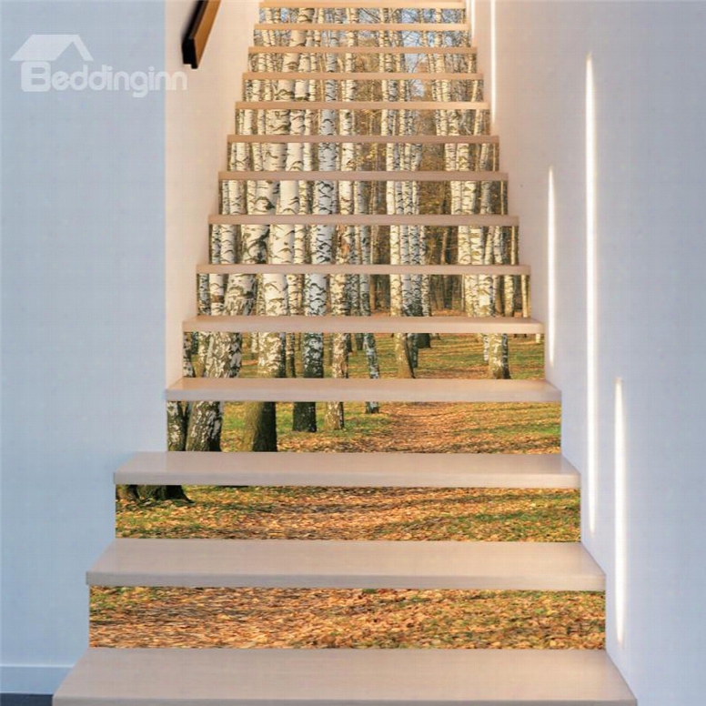 Birch Forest 13-piece Pvc 3d Waterproof Stair Murals