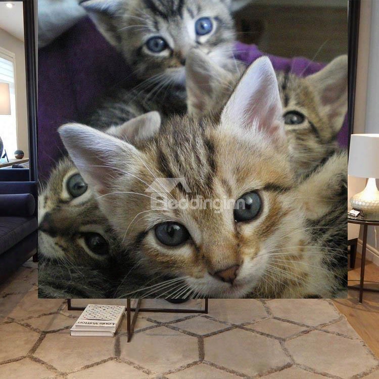 Pretty Cute Cats Printing Blackout 3d Roller Shades