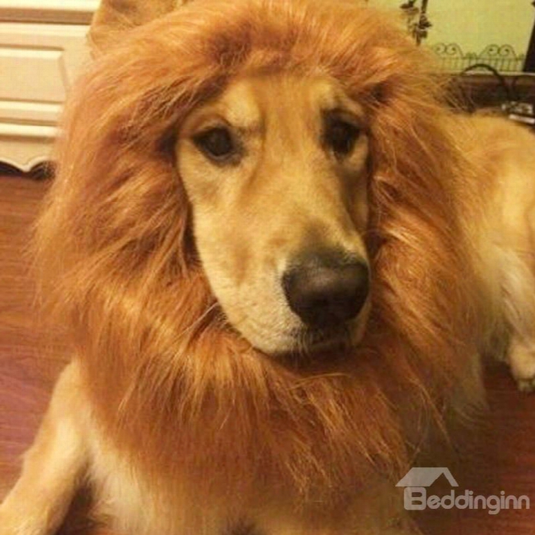 Puppy Dog Lion Wig Mane Cute Halloween Pet Costume