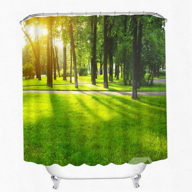 Trees In The Morning Print 3d Bathroom Shower Ccurtain